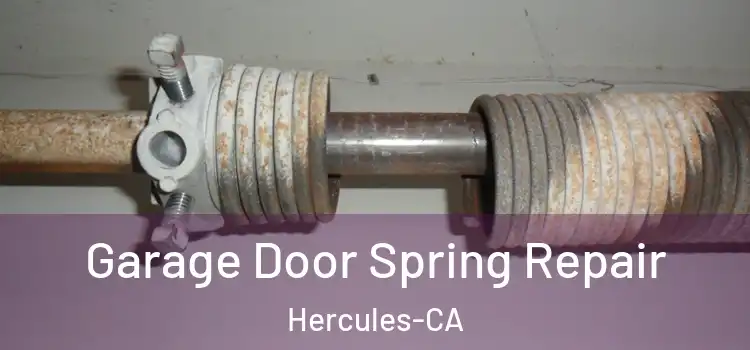  Garage Door Spring Repair Hercules-CA