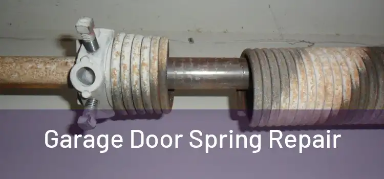  Garage Door Spring Repair 